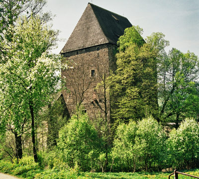 Frontowe zdjęcie zamku Siedlęcin