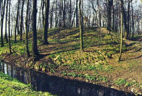 Frontowe zdjęcie zamku Kopiec