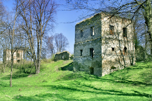 Frontowe zdjęcie zamku Dąbrówka Starzeńska