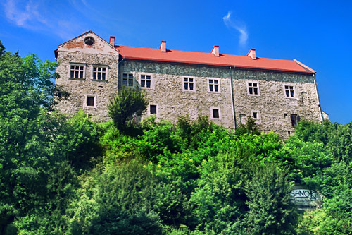 Frontowe zdjęcie zamku Sanok