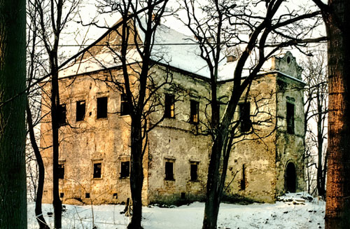 Frontowe zdjęcie zamku Graboszyce