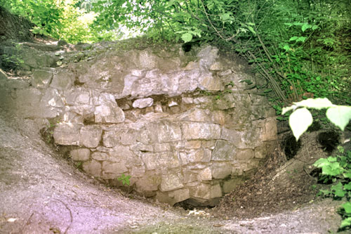 Frontowe zdjęcie zamku Wielka Wieś