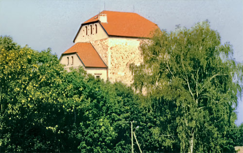 Frontowe zdjęcie zamku Wojciechów