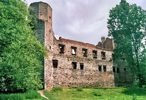 Frontowe zdjęcie zamku Drzewica