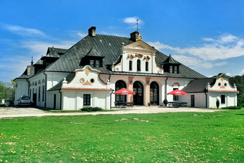 Frontowe zdjęcie zamku Czyżów Szlachecki